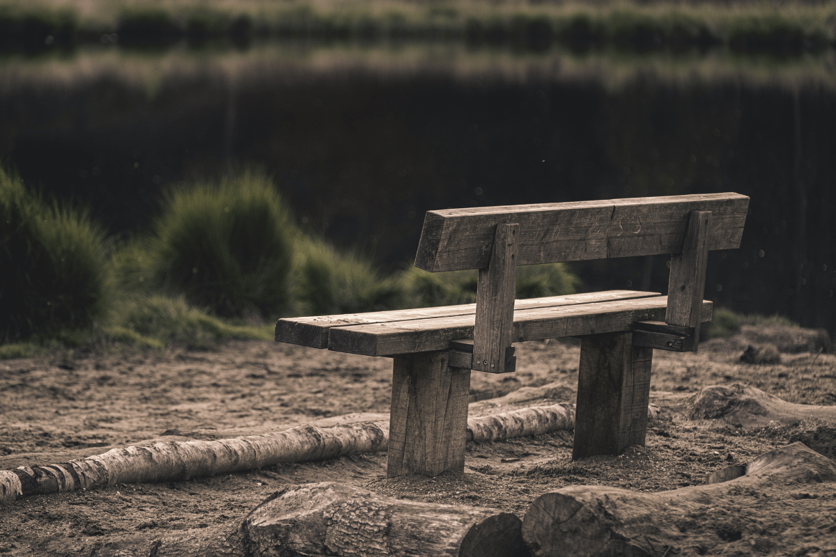 empty cradles